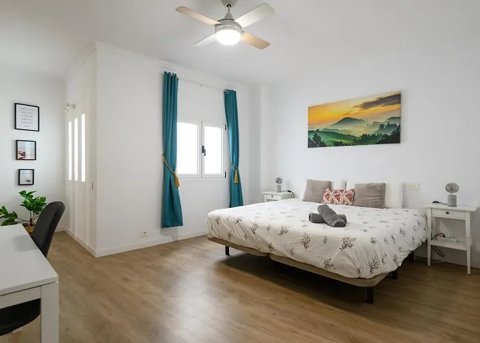 Hjs Plaza Ii 大加那利岛拉斯帕尔马斯